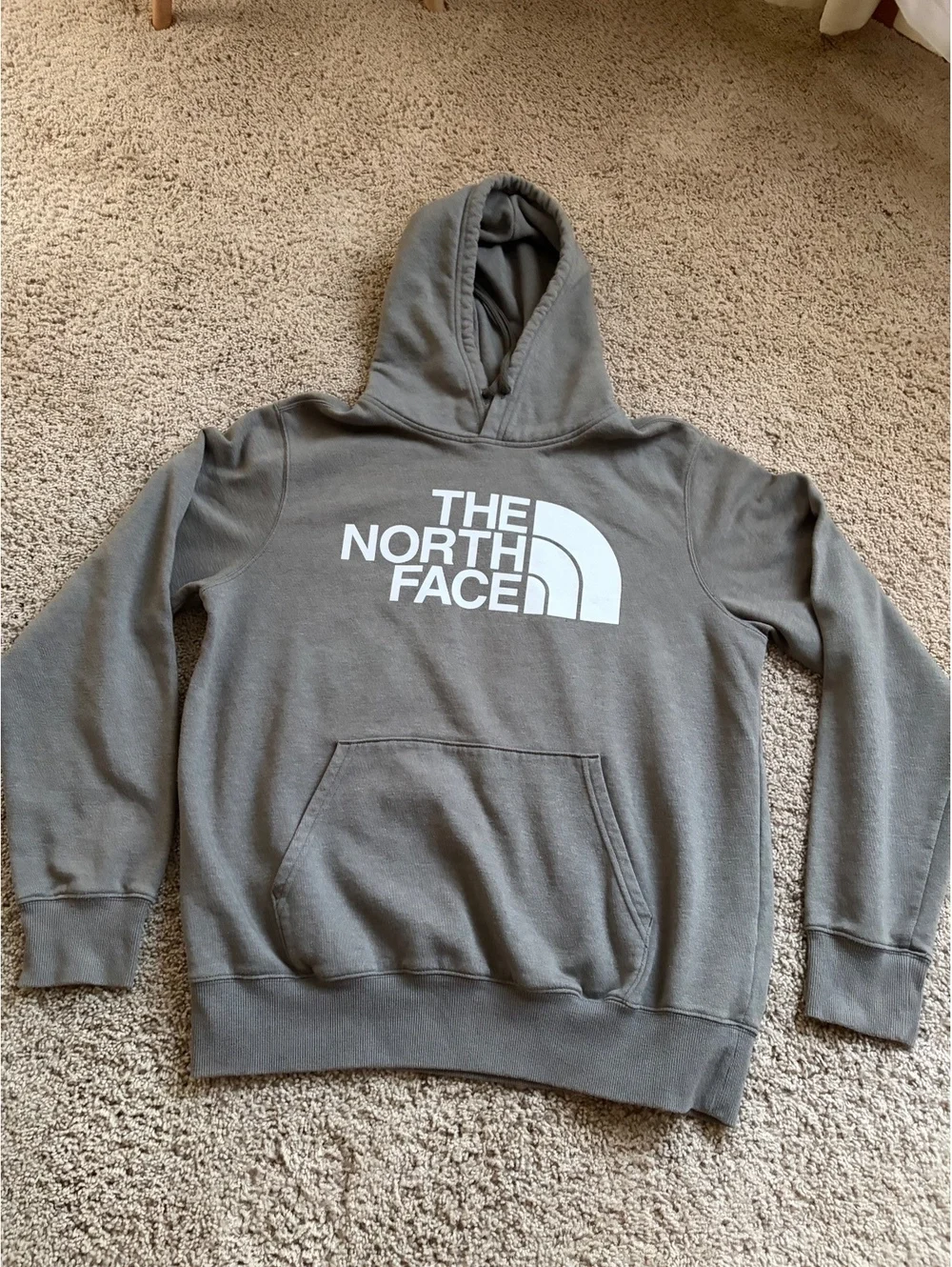 Men's sage green The North Face Half Dome Pullover Hoodie sweatshirt M MEDIUM